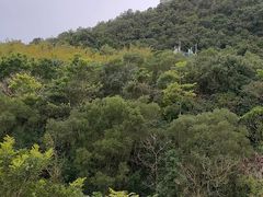 -深圳东部华侨城茵特拉根酒店