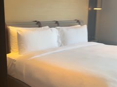 -新加坡瑞士史丹福酒店