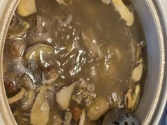 -蘑统田下·野生菌火锅