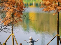 -重庆彩云湖湿地公园