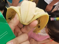-北戴河集发农业梦想王国
