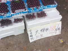 -红星农博物流中心