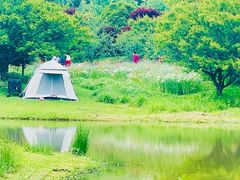 -花开海上生态园