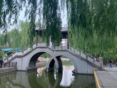 -团结湖公园