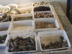 -天天渔港海鲜酒家(石浦玉泉路店)