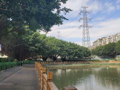 -光明港公园