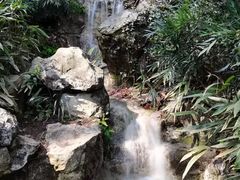 -杭州植物园