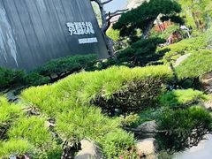 -罗红摄影艺术馆