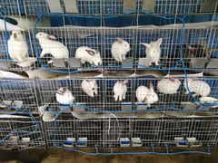 -洪湖家庭农场·团建·露营·会议