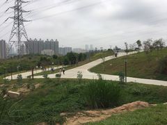 -中山市树木园