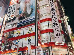 -秋叶原电器街