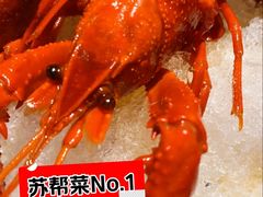 -苏帮袁Sue Cuisine(南开大悦城店)