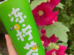 -桂桂茶(滨江百联店)