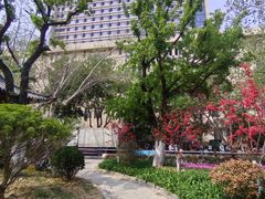 -山东省千佛山医院