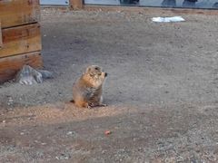 -祥源·阜阳生态乐园