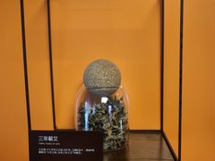 -端艾堂·SPA·艾灸(棕榈泉013店)