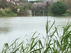 -海珠湖公园