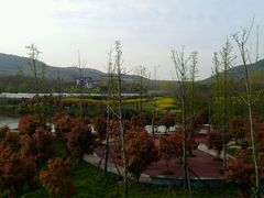 android_upload_pic-石塘人家