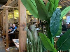 -探窝·竹笙椰子鸡(杨箕店)