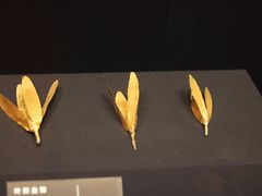 -呼和浩特博物馆