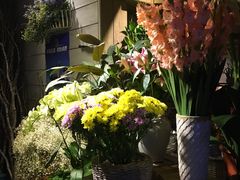 -春暖花开(西溪店)