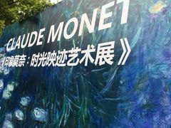 -印象莫奈时光映迹艺术展