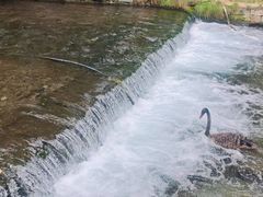 -水磨沟公园