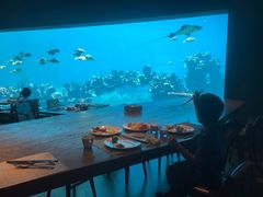 -海棠湾洲际-涛·海底餐厅·美人鱼·自助餐·海底隧道