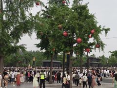 -大雁塔北广场音乐喷泉