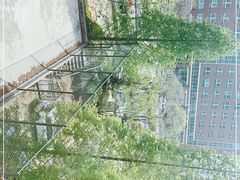 -漫城乔氏台球精酿啤酒吧