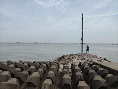 -上海滨江森林公园
