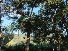 -青岛中山公园-索道售票处