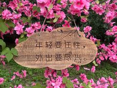 -北京凤凰岭