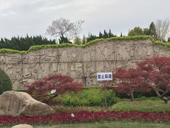 -嘉定紫藤园