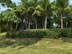 -深圳湾公园(南山区)