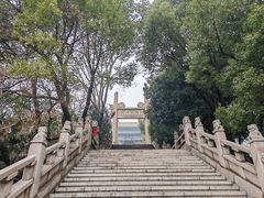 -阅江楼风景区