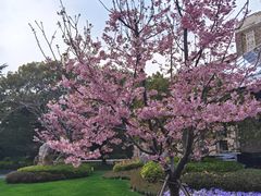 -浅深(世茂滨江精品店)