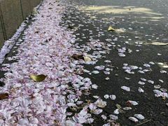 -名古屋城