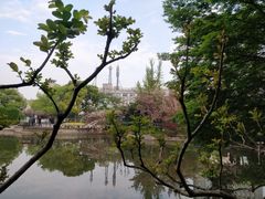 -嘉定紫藤园