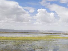 -青海茶卡盐湖文化旅游发展股份有限公司