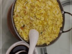 -丁老爷子苏香圆