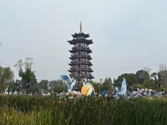 -洋湖国家湿地公园