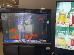 -蓝猫电竞网咖(川大店)