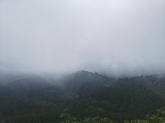 -武陵山森林公园