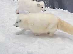 -湘江欢乐城欢乐雪域