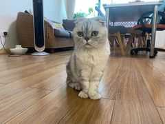 -猫音日语留学培训