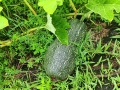 -大盘山温泉山庄