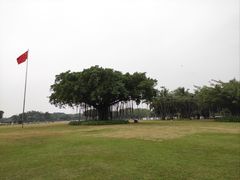 -万绿园