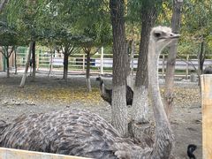 -水上乐园·欢乐世界