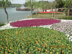 -上海鲜花港